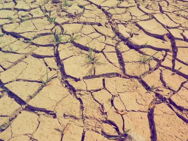 Głębokie Pęknięcia Lądzie Jako Symbol Gorącego Klimatu Suszy Pustynia Pęknięta — Zdjęcie stockowe