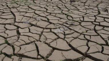 Sıcak iklim ve kuraklığın bir sembolü olarak karadaki derin çatlaklar. Çöl ve çatlak zemin. Açılmamış, şişmiş toprak. Boşluk ve ölüm. Ekolojik ve doğal tema.