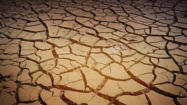 Fissures profondes dans le pays comme un symbole de climat chaud et de sécheresse. Désert et terrain fissuré. Sol inégal et gonflé. Vide et mort. Thème écologique et naturel. Rayons solaires — Video