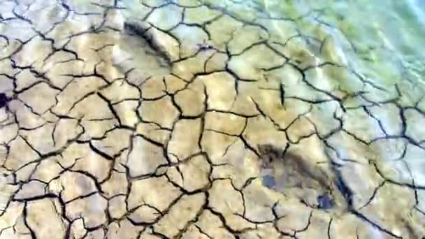 The cracked clay bottom of the reservoir is covered with clear water that sways in the wind and gleams in the sun. Human footsteps remain on the ground and are visible through the water. Pure water — Stock Video