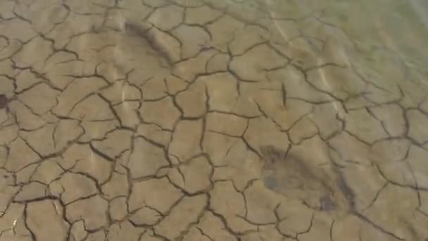 El fondo de arcilla agrietada del embalse está cubierto de agua clara que se balancea en el viento y brilla en el sol. Las pisadas humanas permanecen en el suelo y son visibles a través del agua. — Vídeo de stock