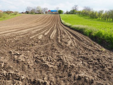 Tarla sürülmüş, hasat için hazırlanmış tarım arazisi. Tarım arazisi, ekin ekilebilen ve ekin yetiştirmek için kullanılabilen tarıma elverişli arazi. Sırbistan, Sremska Mitrovica ve Fruska gora