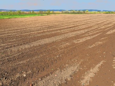 Tarla sürülmüş, hasat için hazırlanmış tarım arazisi. Tarım arazisi, ekin ekilebilen ve ekin yetiştirmek için kullanılabilen tarıma elverişli arazi. Sırbistan, Sremska Mitrovica ve Fruska gora