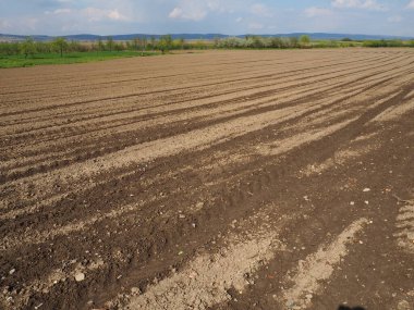 Tarla sürülmüş, hasat için hazırlanmış tarım arazisi. Tarım arazisi, ekin ekilebilen ve ekin yetiştirmek için kullanılabilen tarıma elverişli arazi. Sırbistan, Sremska Mitrovica ve Fruska gora