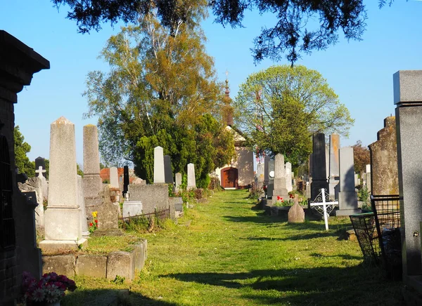 Sremska Mitrovica Serbia April 2021 Catholic Cemetery Graves Monuments Pedestals — Stock Photo, Image