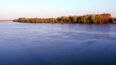 Sava Nehri, Sırbistan ve Sremska Mitrovica 'da su akışı. Suyun yüzeyinde serinleyin. Fotoğrafçılık için altın saat. Sonbahar ormanıyla kıyı. Güzel manzara. Balkanlar 'ın doğası