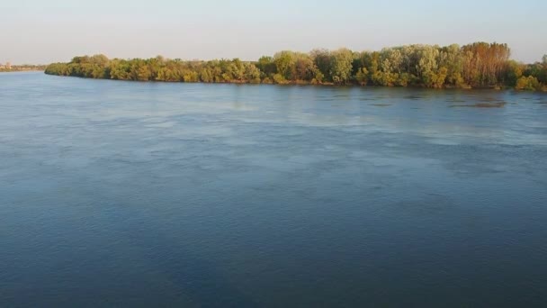 Flusso d'acqua sul fiume Sava, Serbia, Sremska Mitrovica. Raffreddare sulla superficie dell'acqua. L'ora d'oro per la fotografia. Costa con foresta. Bellissimo paesaggio. La natura della penisola balcanica — Video Stock