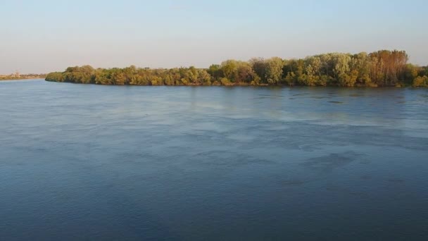 Flusso d'acqua sul fiume Sava, Serbia, Sremska Mitrovica. Raffreddare sulla superficie dell'acqua. L'ora d'oro per la fotografia. Costa con foresta. Bellissimo paesaggio. La natura della penisola balcanica — Video Stock