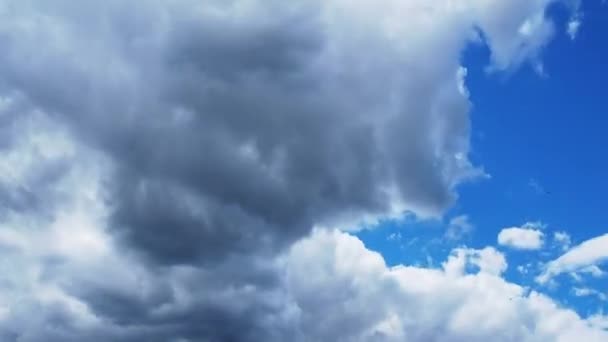 White and dark clouds fly rapidly across the blue sky. Time lapse atmosphere. Weather changes. Movement of clouds across the sky. Sky background — Stockvideo