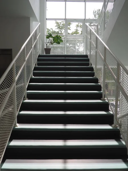 Staircase in the school interior. New modern school. Steps and handrails. Sunshine from a large window. Monstera in a pot on the landing. Modern office or institution design.