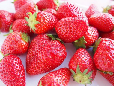 Çilekli. Çilek arkaplanı. Lezzetli, olgun, büyük, kırmızı, bahçe çileği meyveleri. Sağlıklı yiyecekler, vitaminler ve vejetaryen diyeti. Yiyeceklerle yaşam. Uzayı kopyala Düz yatıyordu.