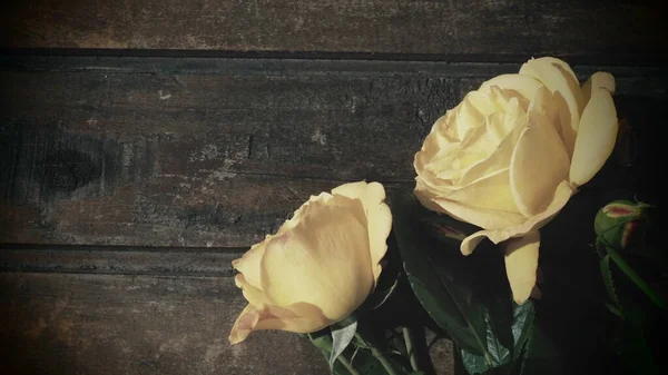 Желтые Розы Деревянном Фоне Букет Трех Блюд Темном Деревянном Столе — стоковое фото