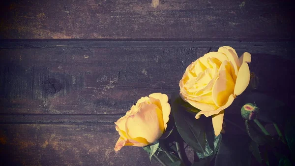 Žluté Růže Dřevěném Pozadí Krásná Kytice Růží Tmavém Dřevěném Stole — Stock fotografie