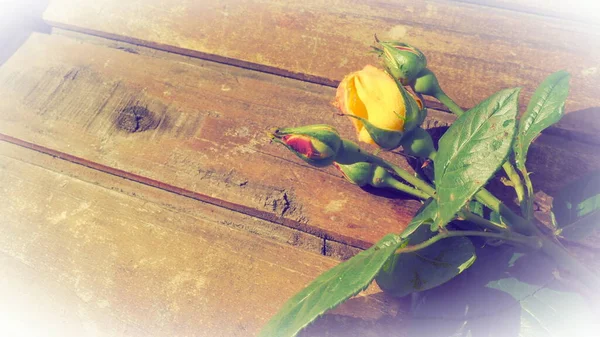 Yellow Roses Wooden Background Beautiful Bouquet Roses Dark Wooden Table — Stock Photo, Image