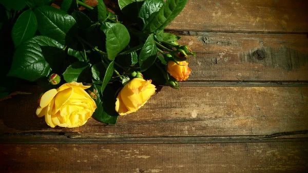 Rose Gialle Uno Sfondo Legno Bellissimo Bouquet Rose Tavolo Legno — Foto Stock