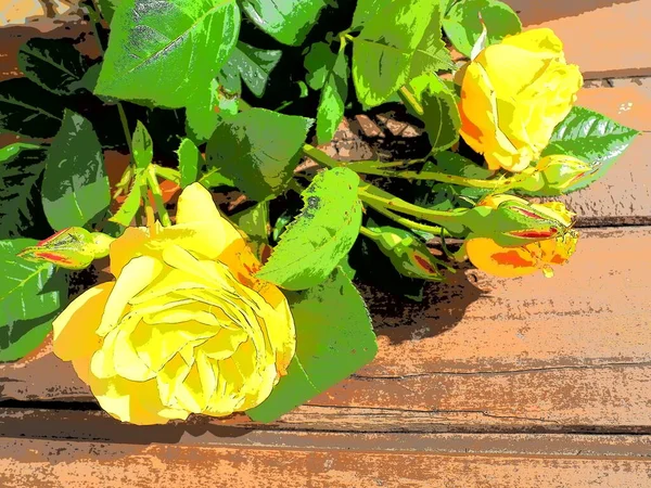 Rosas Amarelas Fundo Madeira Belo Buquê Rosas Uma Mesa Madeira — Fotografia de Stock