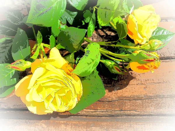 Yellow Roses Wooden Background Beautiful Bouquet Roses Dark Wooden Table — Stok fotoğraf