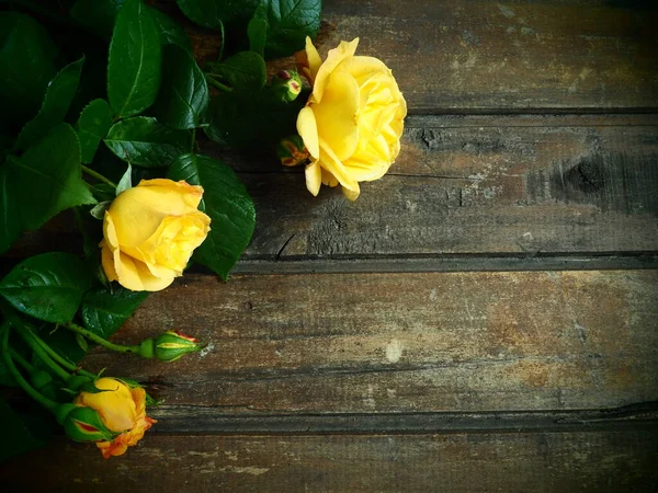 Yellow Roses Wooden Background Beautiful Bouquet Roses Dark Wooden Table — Stock Photo, Image