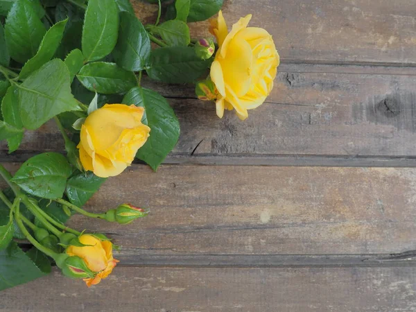 Yellow Roses Wooden Background Beautiful Bouquet Roses Dark Wooden Table — Stockfoto