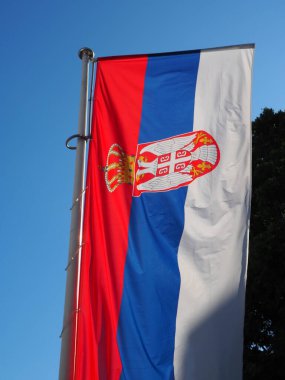 Rüzgarda dalgalanan Sırp bayrağı, kullanılmak için uygun arka plan
