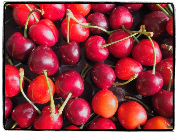 樱桃背景 多汁成熟的美味樱桃或甜樱桃特写从上方 夏天的水果和浆果 维生素饮食 — 图库照片