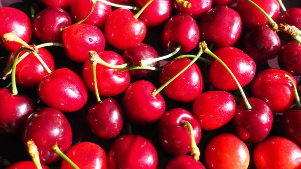樱桃背景 多汁成熟的美味樱桃或甜樱桃特写从上方 夏天的水果和浆果 维生素饮食 — 图库照片