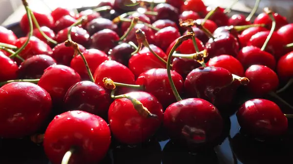 樱桃背景 多汁成熟的美味樱桃或甜樱桃从侧面特写 夏天的水果和浆果 维生素饮食 — 图库照片