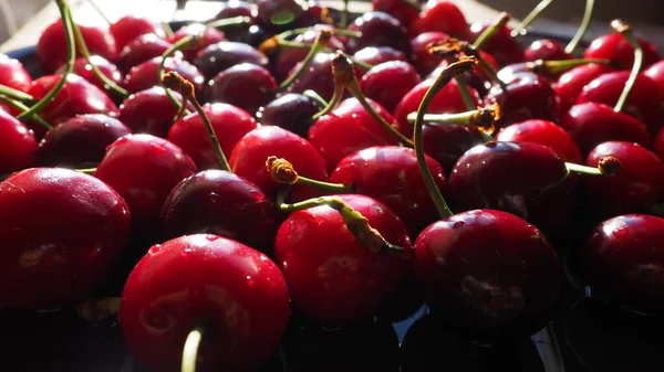 樱桃背景 多汁成熟的美味樱桃或甜樱桃从侧面特写 夏天的水果和浆果 维生素饮食 — 图库照片
