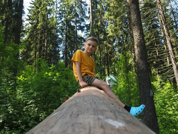 Year Old Blonde Boy Sits Trunk Large Roll Fallen Softwood —  Fotos de Stock