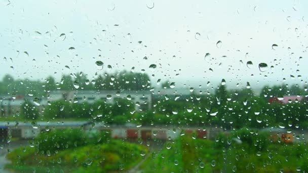 Gotas de lluvia en la ventana de cristal en un día lluvioso. El agua gotea desde arriba. Fondo borroso. Calle con quemaduras y árboles fuera de la ventana. Llueve en verano. — Vídeos de Stock