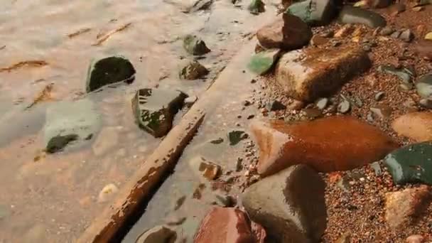 L'acqua canta sulle rocce sulla riva di un lago o di un mare. L'onda corre sulla spiaggia sabbiosa - rocciosa. Ramo di legno rotto vicino alle pietre. Saynavolok, Lago Onega, Carelia. — Video Stock