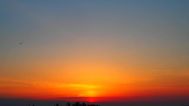 La gaviota pájaro vuela por el cielo al amanecer. Amanecer amarillo-anaranjado y el ascenso del sol sobre el lago Onega en verano. Salida del sol y levantamiento del disco solar de las nubes — Vídeo de stock