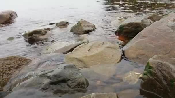 Stranden vid Onega Lake, Republiken Karelen. Stenar av granit och gabbrodiabas syns under vattnet. Karelska schotrar och klippor. Liten våg på vattnet i molnigt lugnt väder. — Stockvideo