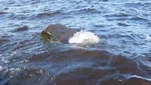 Vågorna slog mot en stor vass sten som reser sig över vattenytan. Onega sjö, Karelen, Ryssland. Sprutar och bubblor flyger över en stenig avsats på stranden. Naturens kraft. Ekologi. — Stockvideo