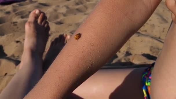 Petrozavodsk, Rusia, 10 de julio de 2021. Una chica en una playa de arena. Un escarabajo mariquita se arrastra en la mano del niño. La chica protege al escarabajo. Insectos en la playa. Ayuda para los animales. Verano playa diversión. — Vídeo de stock