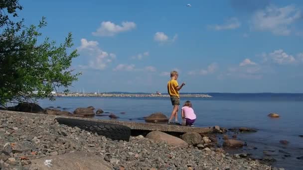 Kaukasische Kinder spielen am Ufer. Blonde Kinder werfen Steine ins Wasser. Felsiger Strand bei sonnigem, windigem Wetter. Himmel mit Wolken und Horizont. Ein Junge im gelben Hemd springt auf die Seebrücke — Stockvideo