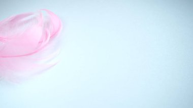 Pink and crimson feathers as a background. Light curved fluffy feathers. Flamingo plumage. Colored feathers. Theme of Love, St. Valentine's Day.