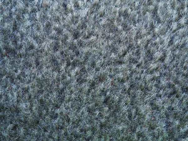 Gray Carpet Felt Close Hairy Surface Carpeting Soft Roll Piece — Zdjęcie stockowe
