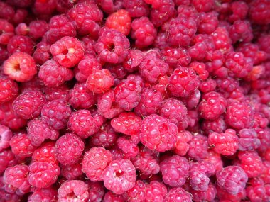 Ahududu arka planı. Büyük, kırmızı, taze, birinci sınıf böğürtlen. Bir sürü ahududu. Genel ahududu Rubus idaeus - yarı çalılık, Rosaceae familyasının Rubus cinsi..