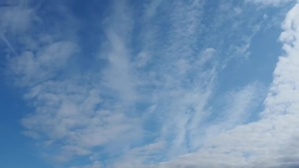 Die Zeit drängt. Schnelle Wolken vor blauem Himmel. Zwei Schichten Trübung. Cumuluswolken bewegen sich im Wind immer schneller. Hohe glitzernde Wolken fliegen langsamer. Tagsüber. Thema Meteorologie. — Stockvideo