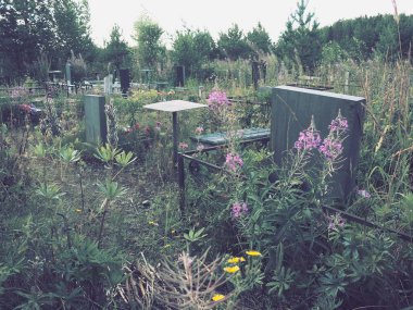 Taş anıtlı bir mezarlık. Yazın öğleden sonra terk edilmiş eski bir mezarlık. Çimen çalıları. Mezarlardaki eski granit anıtlar. İnsan mezarları. Unutulma, sakinlik, ölüm ve Cadılar Bayramı teması.