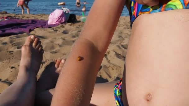 Petrozavodsk, Russie, 10 juillet 2021. Une fille sur une plage de sable. Une coccinelle rampe sur la main des enfants. La fille protège le scarabée. Insecte sur la plage. Aide pour les animaux. Plaisir de plage — Video