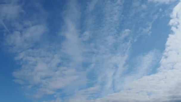 Waktu berjalan. Awan bergerak cepat melawan langit biru. Dua lapisan keruh. Awan Cumulus bergerak lebih rendah dan lebih cepat dalam angin. Awan tinggi yang berderak terbang lambat. Siang hari. Topik meteorologi — Stok Video