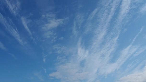 O tempo passa. Nuvens em movimento rápido contra um céu azul. Duas camadas de nudez. Nuvens de cúmulo movem-se cada vez mais baixo ao vento. Nuvens altas de cimbling voam mais devagar. De dia. Tópico de meteorologia — Vídeo de Stock