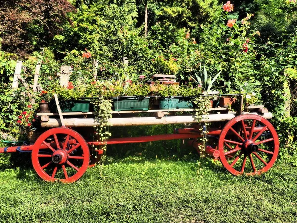 Старая Карета Повозка Летний День Традиционный Сельский Конный Экипаж Колесница — стоковое фото