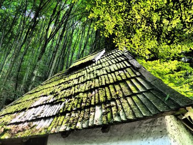 Sırbistan 'ın kırsal kesimindeki yosunlu çatının parlak yeşili. Sırbistan, Loznica, Trsiç, Vuk Karadziç 'in yaşam alanı, Tronos Manastırı. Çatıdaki ağaçlar.