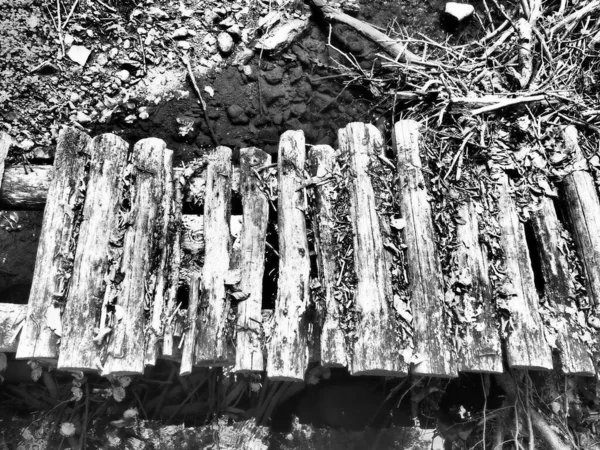 Vieja Pasarela Madera Puente Tronco Redondo Ruinas Sobre Arroyo Forestal — Foto de Stock