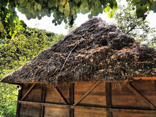 Traditional Country House Barn Thatched Dry Grassy Roof Summer Forest — Stock Photo, Image