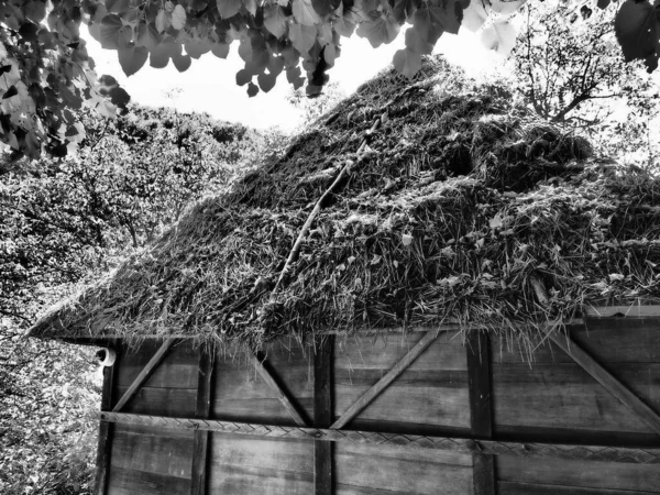 Maison Campagne Traditionnelle Grange Avec Toit Herbeux Sec Chaume Été — Photo