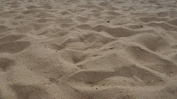 황금 시간에 낮은 곳에 있는 모래들 입니다. 비어 있는 해변, 발자국, 그리고 모래에 있는 설치류. 흑해의 모래 언덕. 산의 작은 알갱이와 광석화 규소로 이루어져 있는 퇴적암 — 스톡 사진